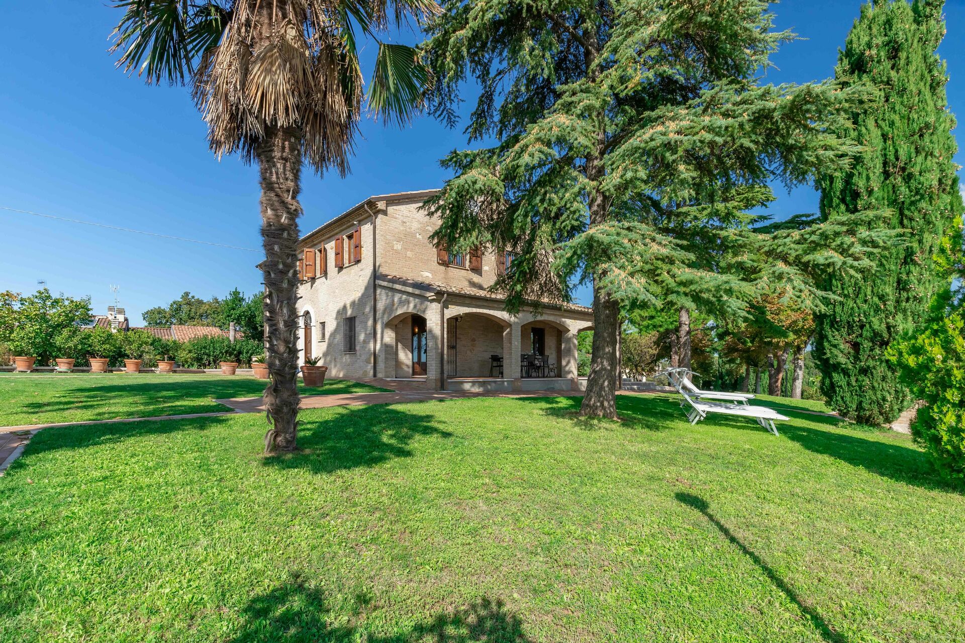Giardino con palme e prato della villa