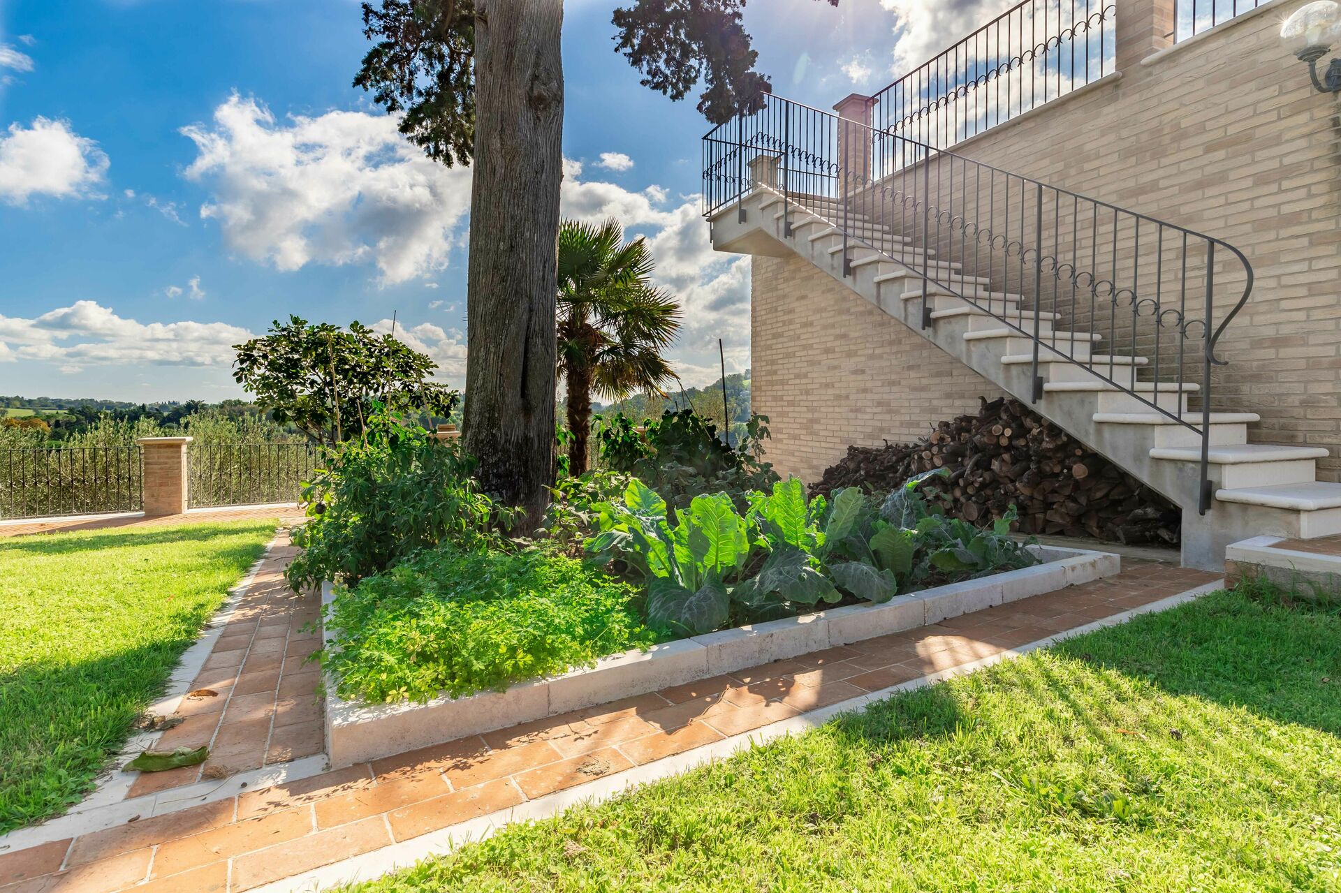 Vialetto del giardino con piante grasse